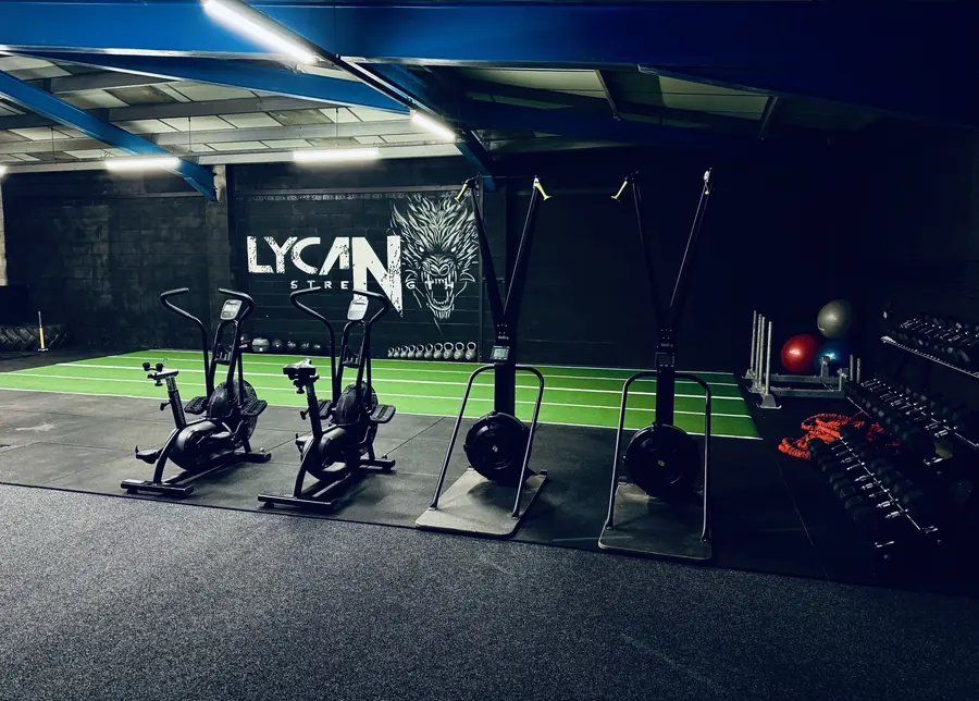 Air bikes lined up on the turf under the Lycan Strength wall