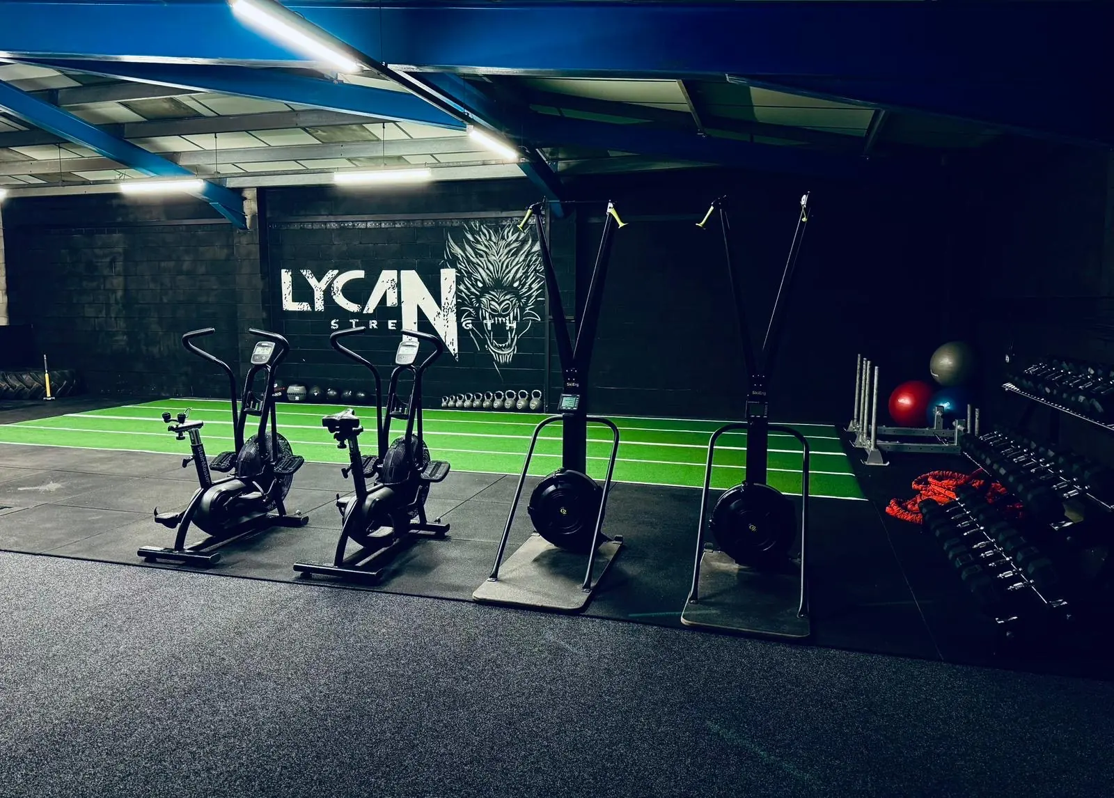 Air bikes and slam balls on the turf under the Lycan wall