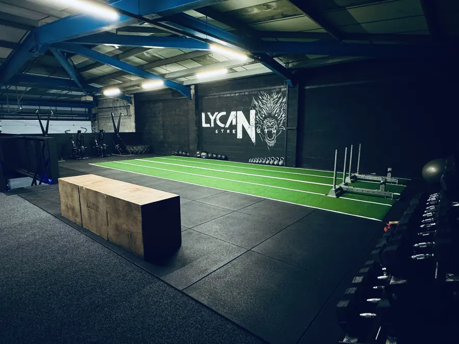 Plyo box in front of the Lycan wall